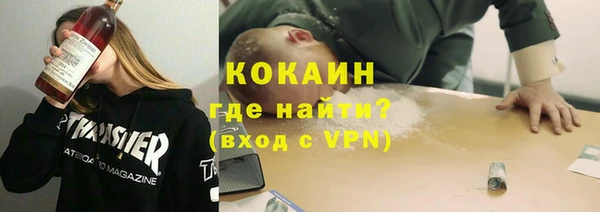 прущие грибы Костерёво