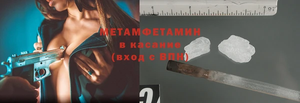 прущие грибы Костерёво