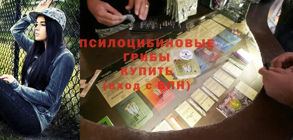 прущие грибы Костерёво