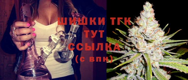 прущие грибы Костерёво