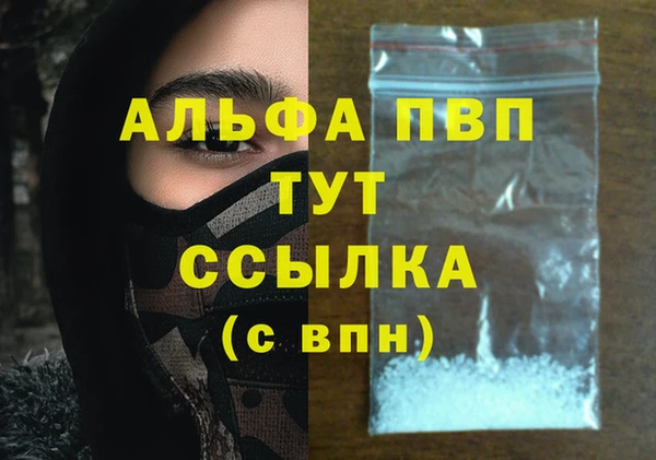прущие грибы Костерёво