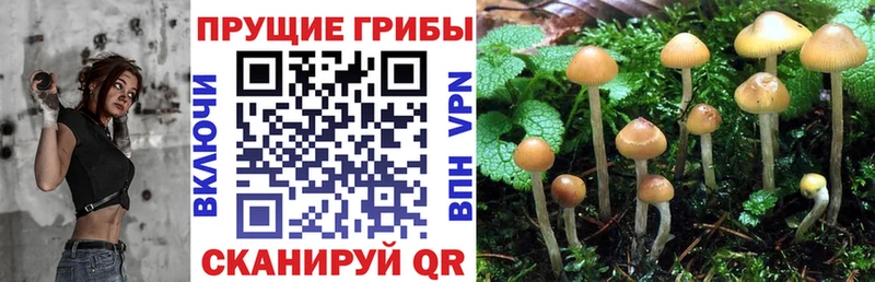 Купить закладки  Лыткарино  Галлюциногенные грибы мухоморы 